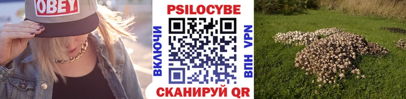Псилоцибиновые грибы Cubensis Екатеринбург